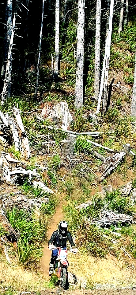 BaisingerDC's tweet photo. Into the woods and offline for a while! https://t.co/wqdTmqoPXt