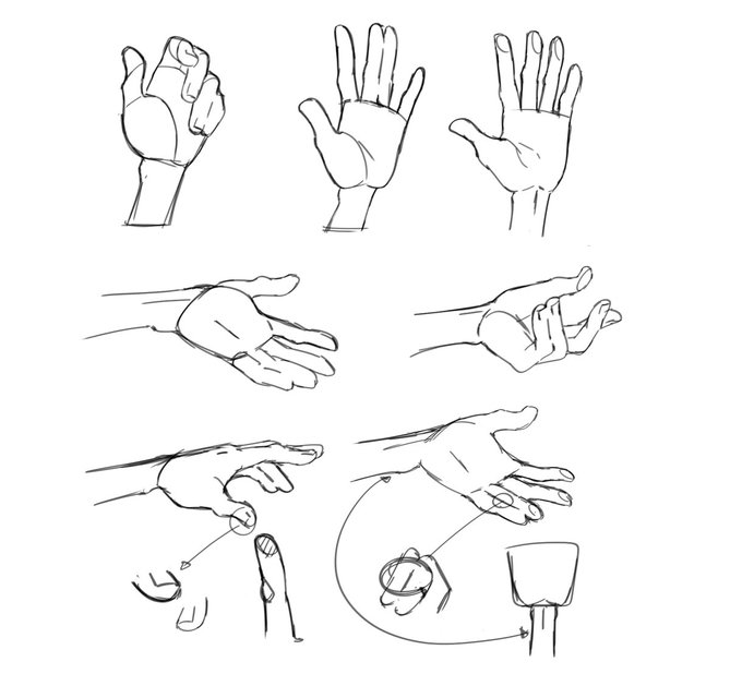 So after analizing some official artworks I found this curious patter in the characters's hands. From nails to wrist 
Hope it helps ???? 