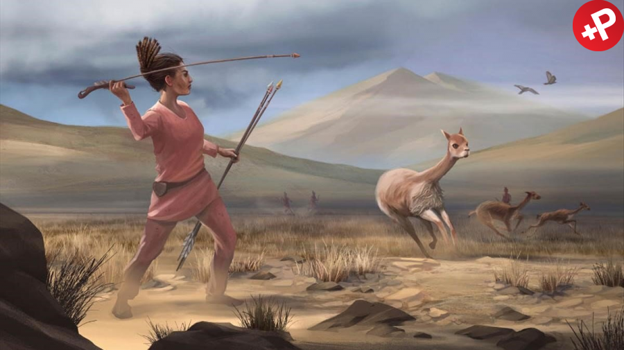 elperiodico's tweet photo. MULTIMEDIA | Una excavación recupera el legado de una mujer cazadora de hace 9.000 años 

✍Lo cuenta @raffiovalentina https://t.co/83a6A7uIq9 https://t.co/bVUeVGK8f7