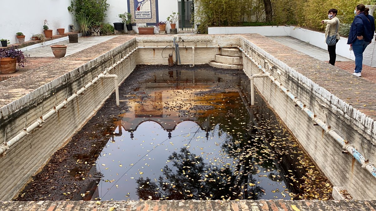 MalagaConTodas's tweet photo. La falta de mantenimiento e inversión por parte del Ayuntamiento de #Málaga ha provocado la pérdida de especies y la degradación del Jardín Histórico #LaCónsula.

Exigimos al equipo de gobierno de PP y Cs que recupere cuanto antes esta joya medioambiental y la abra al público. https://t.co/zY9DmEIXhb
