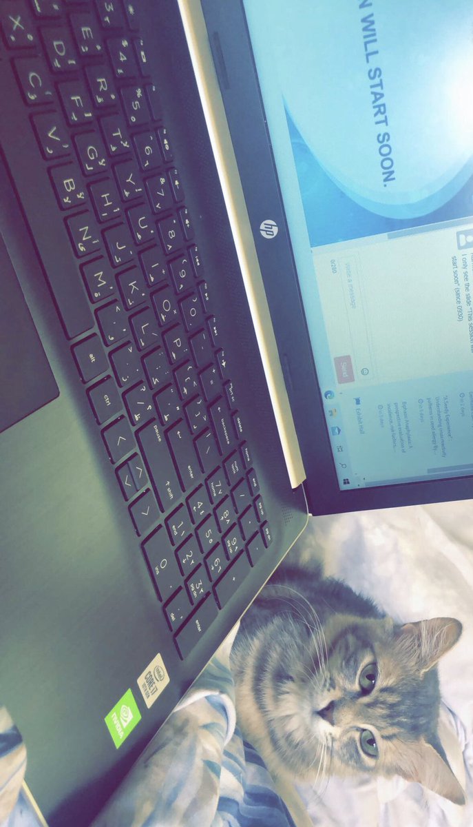 suzanapeds's tweet photo. Stop 🛑 watching those allergy shows please 🐈❤️😂 #CSACI 2020 https://t.co/ML0ZTkmvvg