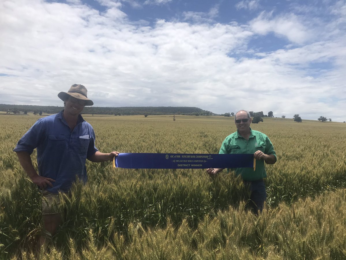 Brent Alexander tweet media