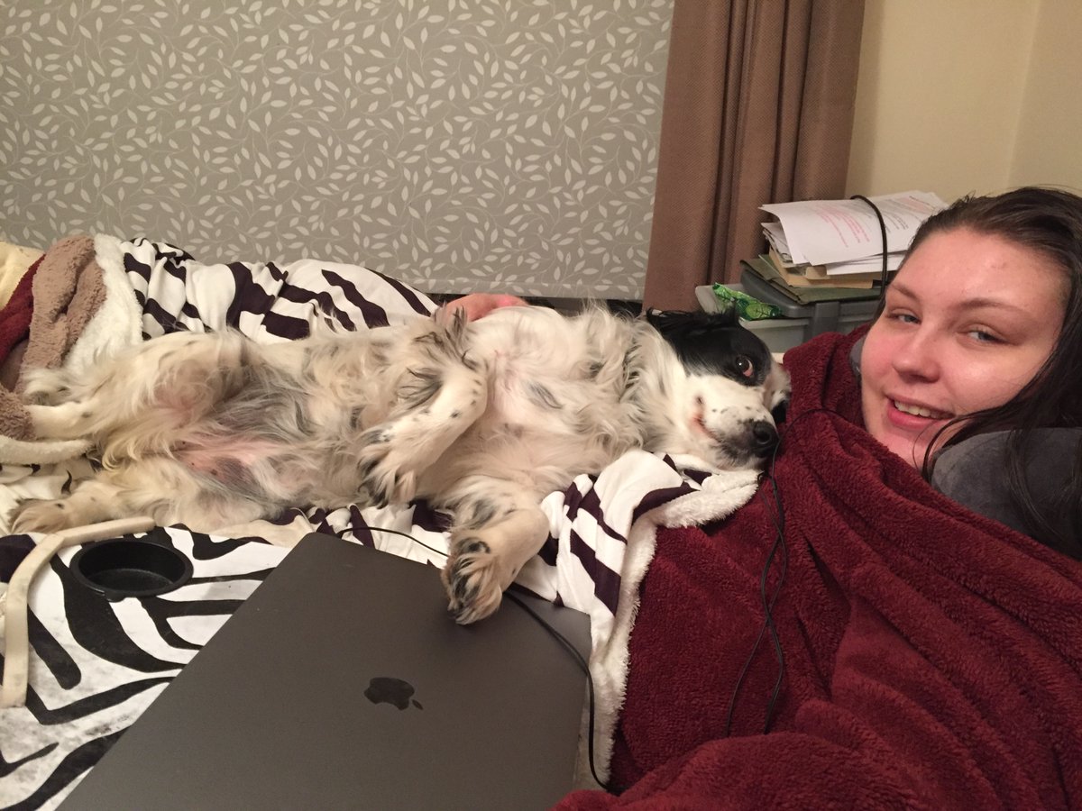 LucyAlexandria's tweet photo. #MollyDog cuddles this evening - how I love my girlie. It's hard to believe she'll be 8 in January. Where's the time gone!
#AssistanceDog #MyDogHelpsMe #MollyDogWithABlog #HelperDog #DogsOfTwitter https://t.co/d4vEFC0qMg