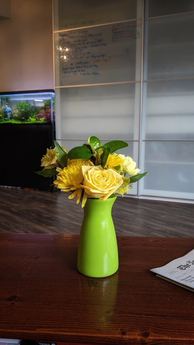 thislilgecko's tweet image. One of the best habits I started as an adult was keeping flowers at home.  On days like today, it's really paid off.

Buy yourself some flowers today.  It'll be a regular breath of fresh air in this undoubtedly long week.

#ElectionWeek #2020Elections #Elections2020 #SelfCare