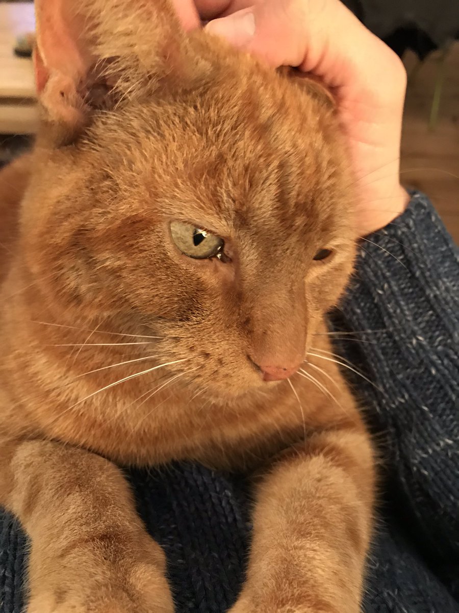 Cuddles to help with the firework noise