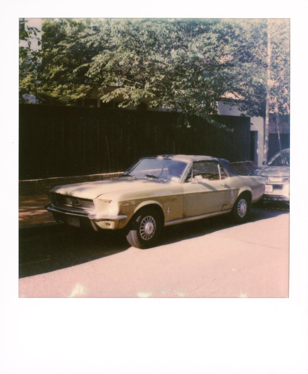 StephaneChongCH's tweet image. #polaroid #instantfilm #mintcamera