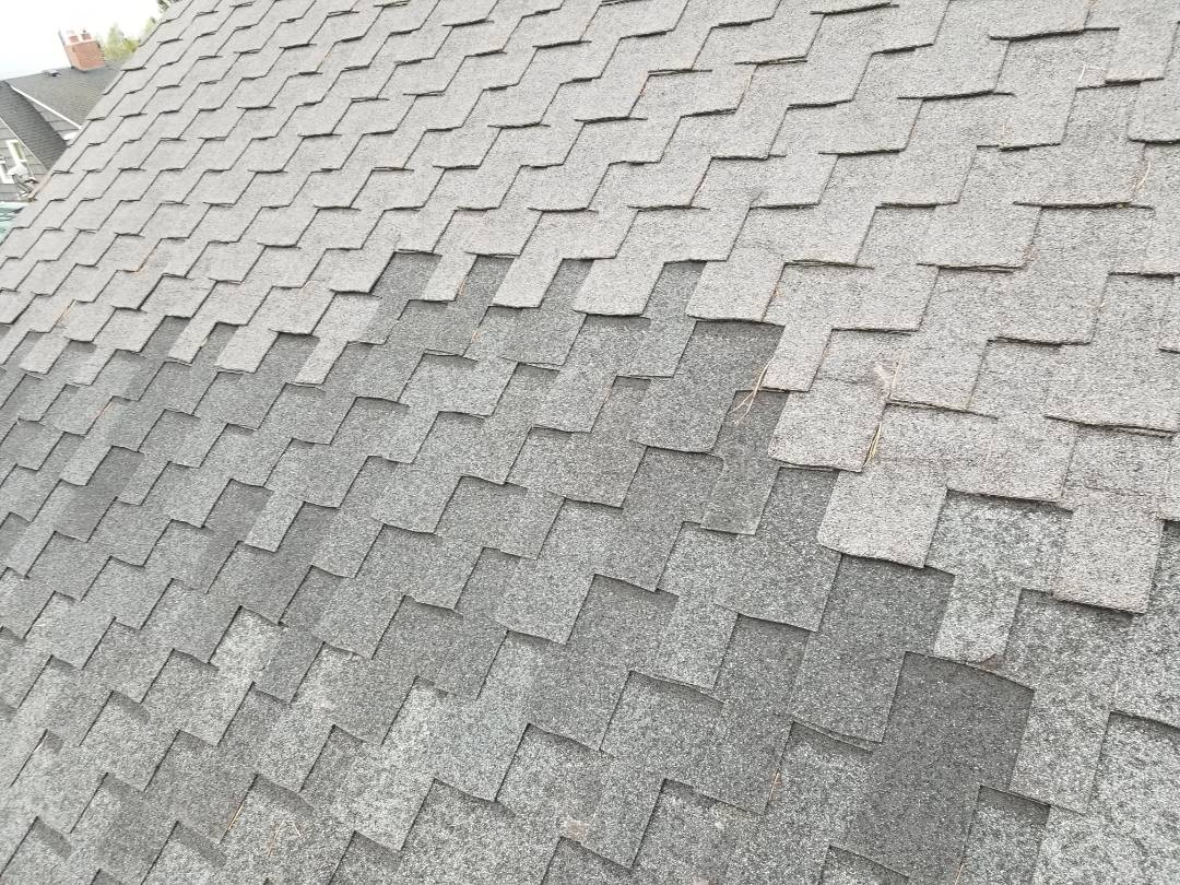 Stateroofing's tweet photo. In Seattle doing a roof bid - Greg L. checked in near Seattle, WA https://t.co/3gACTtvGBe https://t.co/FpHtmzRMAI