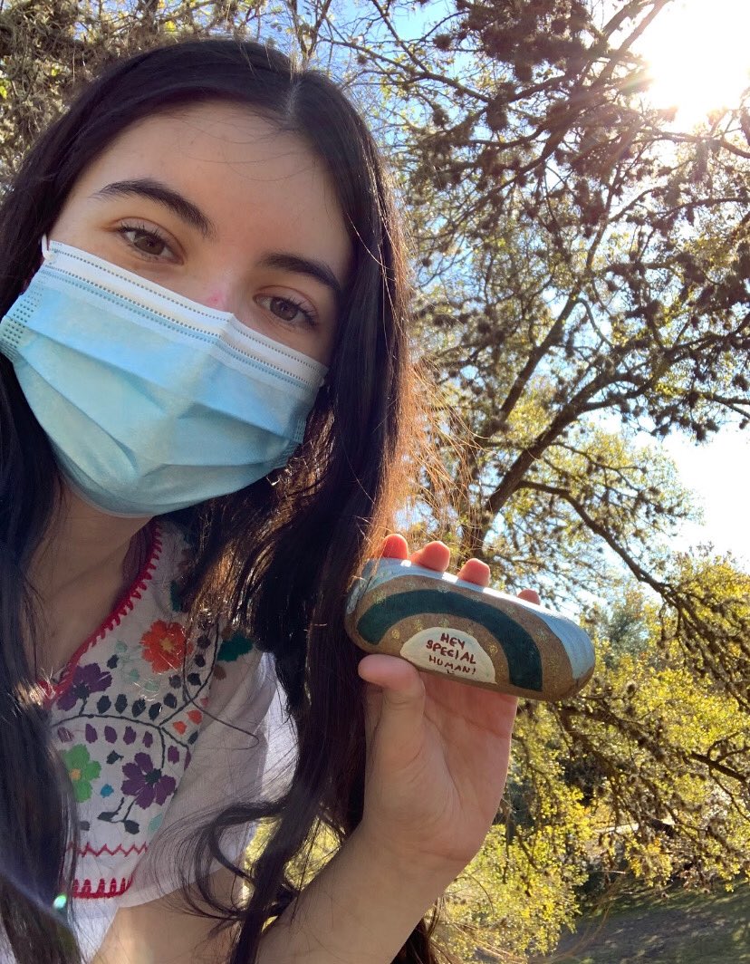 CLARKSNHS1's tweet photo. Our members painted and distributed inspiration rocks to spread kindness and happiness during this tough time. #inspiration #learnserveexplore #communityservice @NISDClark @sxreginaldo https://t.co/Rr5R0IEp5Y