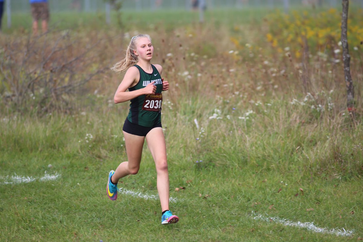 Novi Community School District tweet media