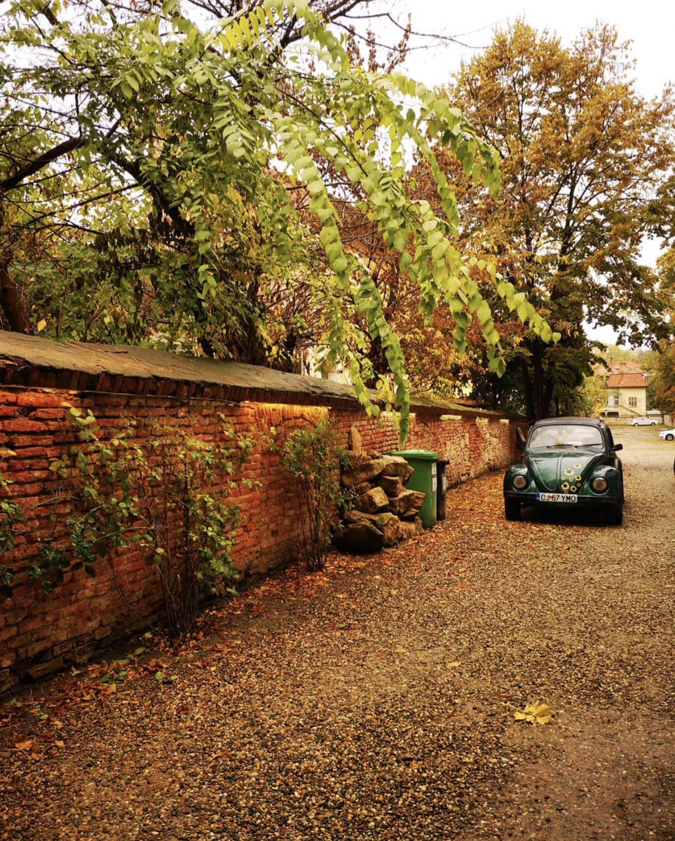 Cluj Tourism tweet media