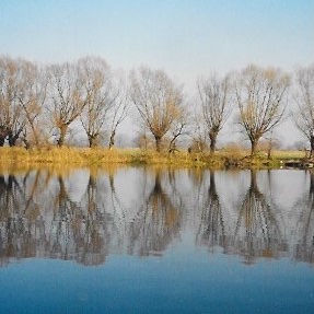 SelbyHouse's tweet photo. A great feature of living abroad is that the heroes are different, especially writers and artists. It's like seeing the view from a new window. #Poland https://t.co/JqHJKTFHMw