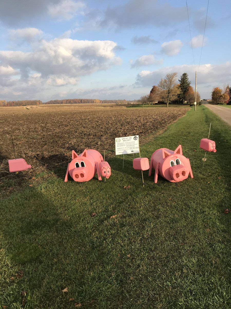HPAgService's tweet photo. Happy to support the #HuronPerthJuniorFarmers! Where will they end up next!? #LetThePigsFly https://t.co/Kaijc5oAep