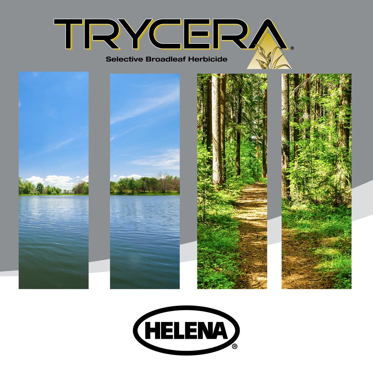 Achieve highly effective broadleaf weed control with Trycera featuring Moveo Formulation Technology. Trycera delivers results at lower rates, allowing you to achieve highly effective broadleaf weed control with less herbicide used per acre. #HelenaProducts #TrustHelena
