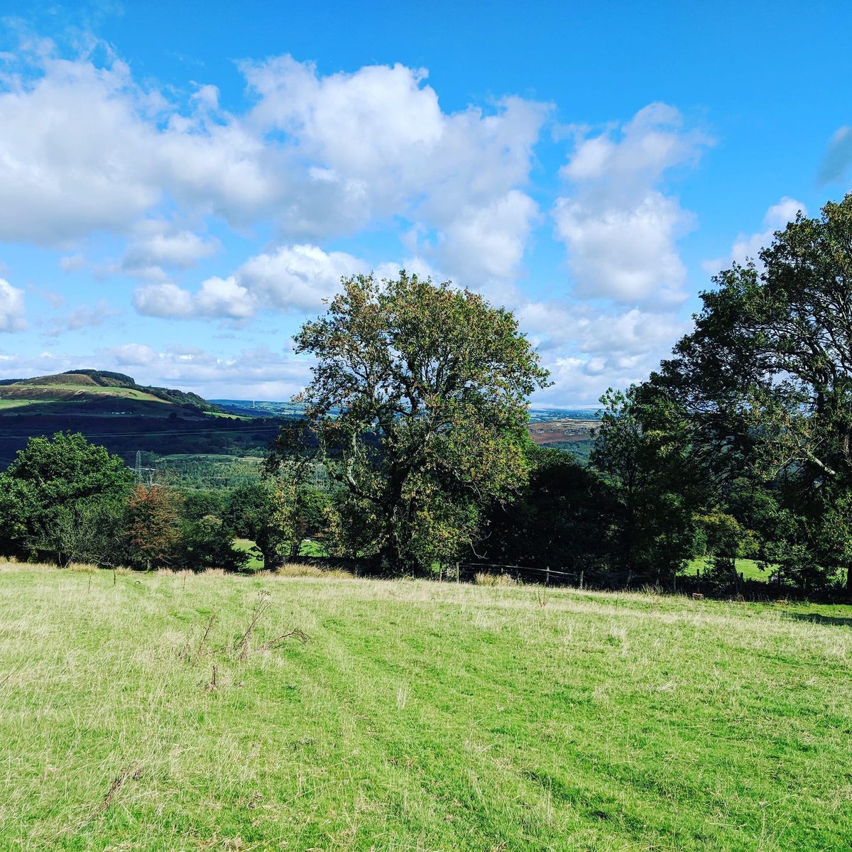 We can’t wait to welcome our Welsh guests again from next week. Bring on the cosy nights in front of the fire and crisp country walks 😊