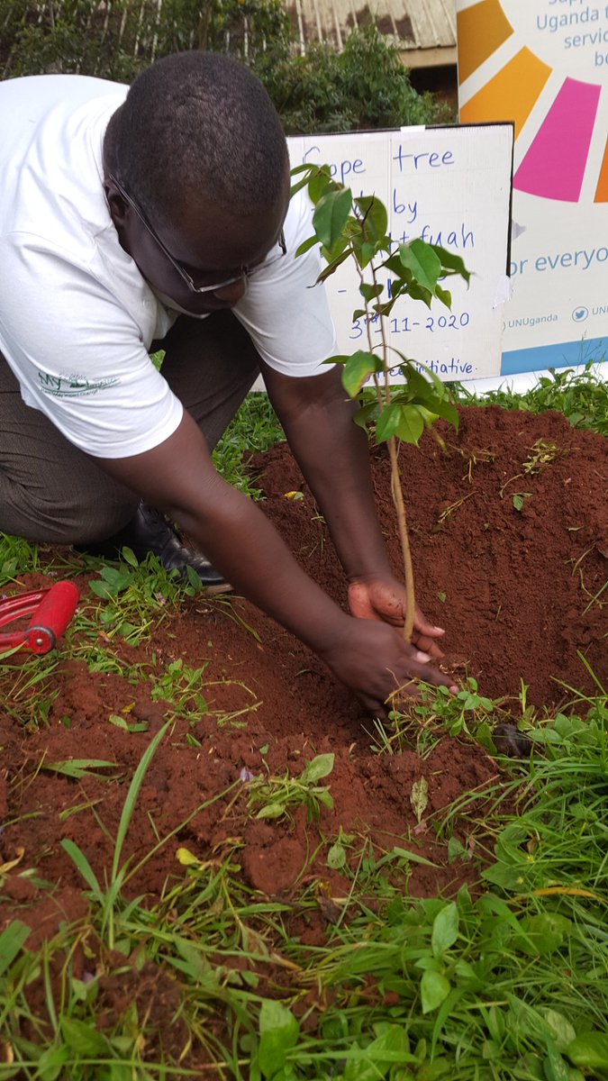 mytreeUganda's tweet photo. Climate Change threatens #Development progress!
We planted a #SourSope tree for Ms. Elsie Attafuah, Resident Representative of @UNDPUganda.
Thank you @ElsieAttafuah, this tree is a great step towards achieving ZeroPoverty.
@RMalango2015 @KigoziMaggie @queridoAntonioL @FAOUganda https://t.co/k3mPSzqwvA