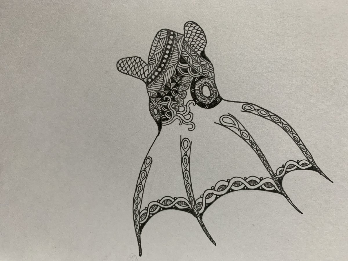 コウモリダコ