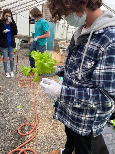 CabCoSchools's tweet photo. The #STEM2Fork initiative at @CentralCabarrus is in full swing! The aquaponics program is fully student-managed, from the system setup to managing the selling of leafy green vegetables. They are currently harvesting 15 heads of lettuce a week! 🥬 🤩 https://t.co/kNJY3wtdw8 https://t.co/yCJ1tJAPO3