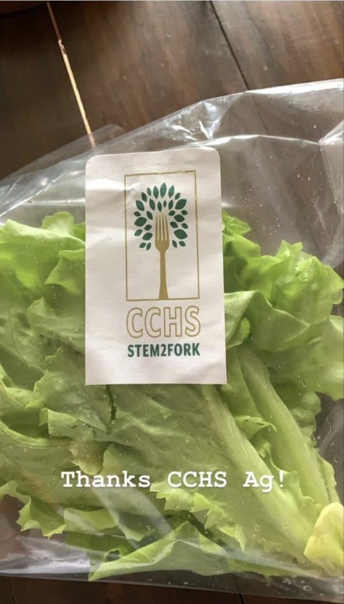 CabCoSchools's tweet photo. The #STEM2Fork initiative at @CentralCabarrus is in full swing! The aquaponics program is fully student-managed, from the system setup to managing the selling of leafy green vegetables. They are currently harvesting 15 heads of lettuce a week! 🥬 🤩 https://t.co/kNJY3wtdw8 https://t.co/yCJ1tJAPO3