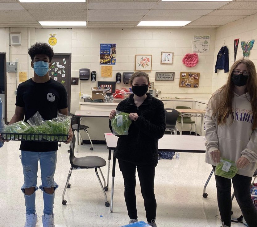 CabCoSchools's tweet photo. The #STEM2Fork initiative at @CentralCabarrus is in full swing! The aquaponics program is fully student-managed, from the system setup to managing the selling of leafy green vegetables. They are currently harvesting 15 heads of lettuce a week! 🥬 🤩 https://t.co/kNJY3wtdw8 https://t.co/yCJ1tJAPO3