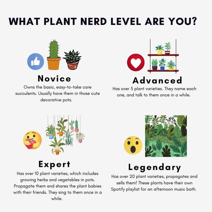 KarinMPeters's tweet photo. Apparently I'm an expert...  🌲🌳🌵🌺🌸🌼 https://t.co/xT2urBnVbY