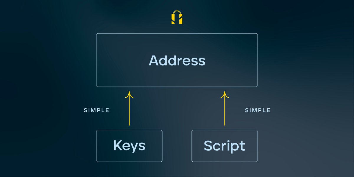 In the early days of Bitcoin, both the data component and the script component were incredibly simple. The data was usually one single public key in uncompressed form. 7/