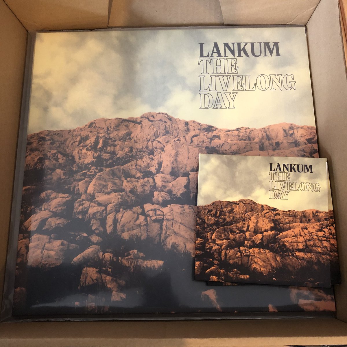 LankumDublin's tweet photo. With Ireland at Level 5 Lockdown, now would be a good time to support your local record store by purchasing from them online. Maybe buy our album for your gran and beat the big Christmas rush...
#supportirish #yourlocalrecordstore https://t.co/xlzyRW4YGH