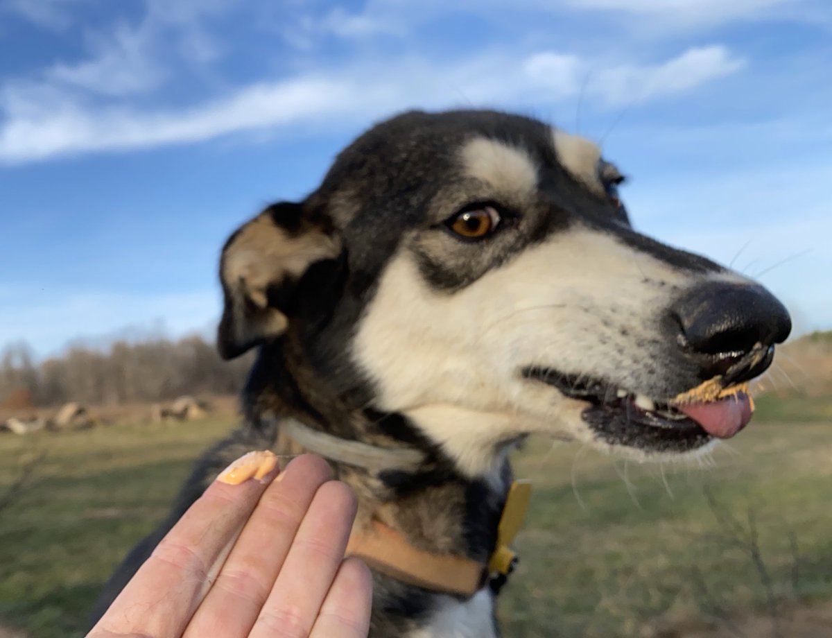 Dora had high hopes but was immediately disappointed.