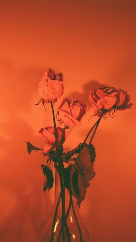 TRIGGER WARNING~Shadow work and your inner child~I feel like repression of your sexuality is more than likely to happen depending on your childhood. Everyone has this idea of what sexuality is supposed to be like but does it stem from their own thinking or possible