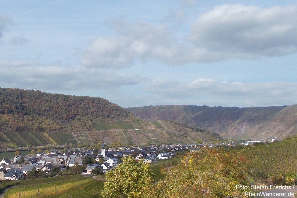RheinWanderer's tweet photo. #Wandern an der #Mosel: Diese tolle #Wanderung (14 km) auf dem #Moselsteig verläuft von #Cochem über #Valwigerberg + #BruttigFankel (Foto) nach #Beilstein. Mein #Tipp: Beide Orte von #Bruttig-#Fankel sind sehenswert! Mehr Fotos + Infos hier: https://t.co/CDlvyQxHDd #RLPerleben https://t.co/7SAEVpWURA