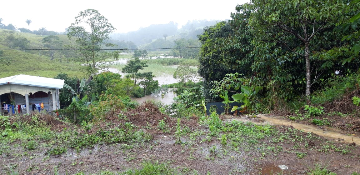 Annymax20's tweet photo. @chiriquinotici1 Es el sector del Pantanal, rio sereno . https://t.co/gYvGNd90rV