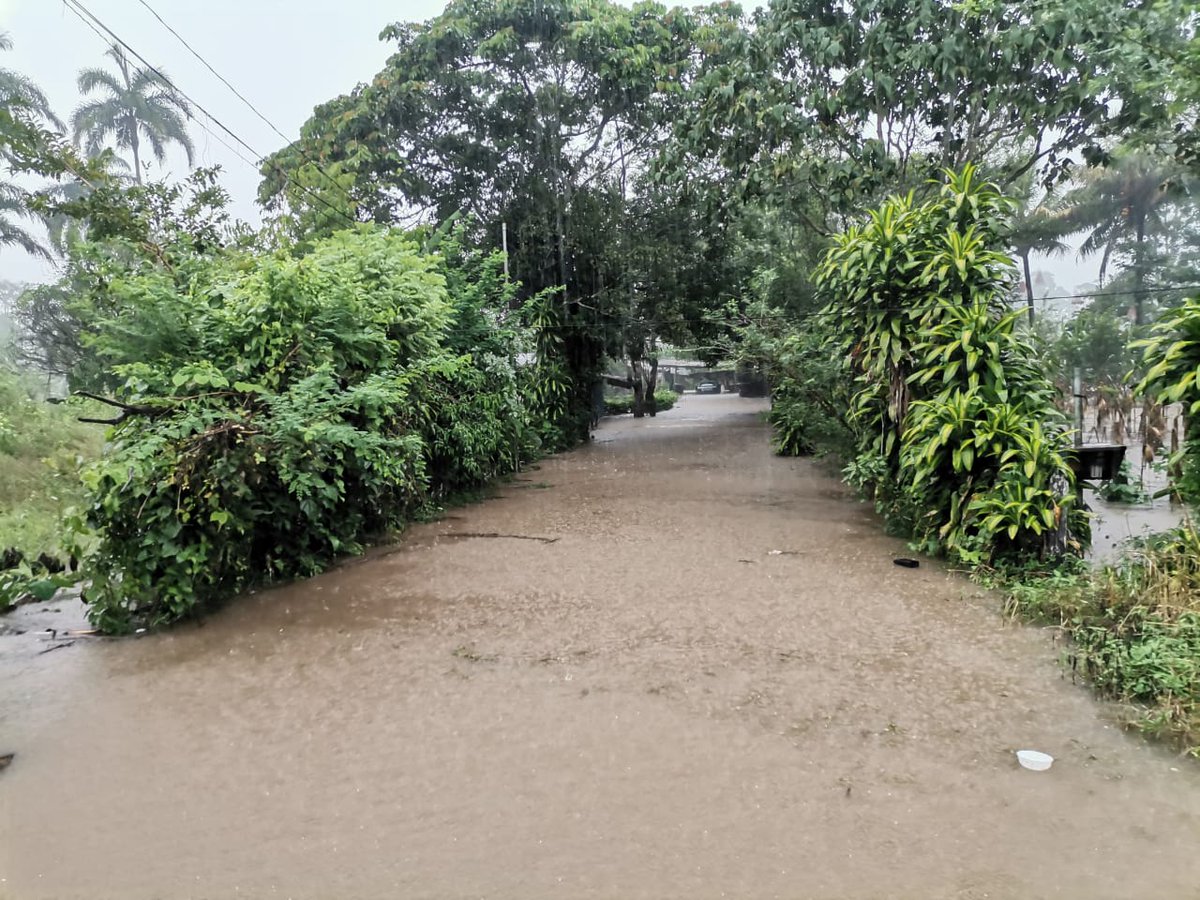 Annymax20's tweet photo. @chiriquinotici1 Es el sector del Pantanal, rio sereno . https://t.co/gYvGNd90rV
