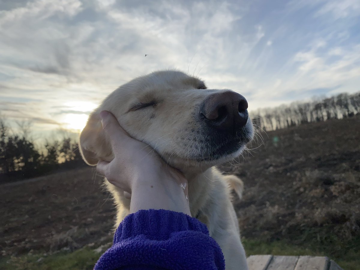 Spike truly does not care either way.