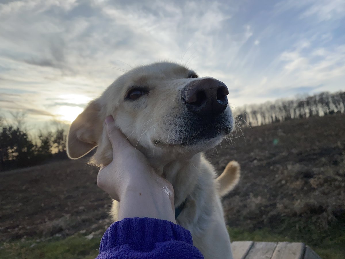 Spike truly does not care either way.