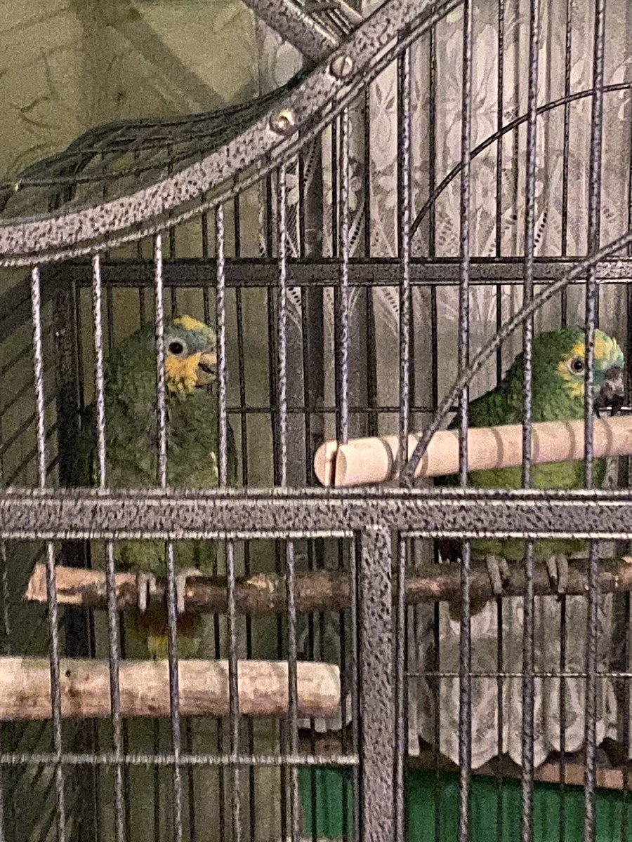 ClootsManfred's tweet photo. https://t.co/OwOFojLKJg