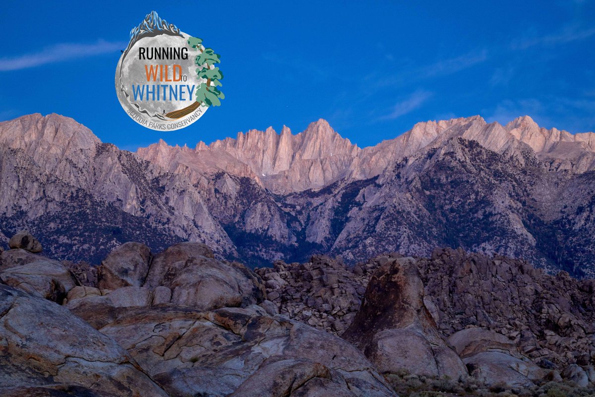 SeqParksCon's tweet photo. 👟 Wanna Race? Use the code WHITNEY10 and save $10 on registration for Running Wild to Whitney! The last day to register is November 8. Visit https://t.co/wZC2CJciyS
🏃 #sequoiaparksconservancy #runningwildtowhitney #virtualrace #sequoianationalpark #kingscanyonnationalpark https://t.co/QYsBhdiIYp