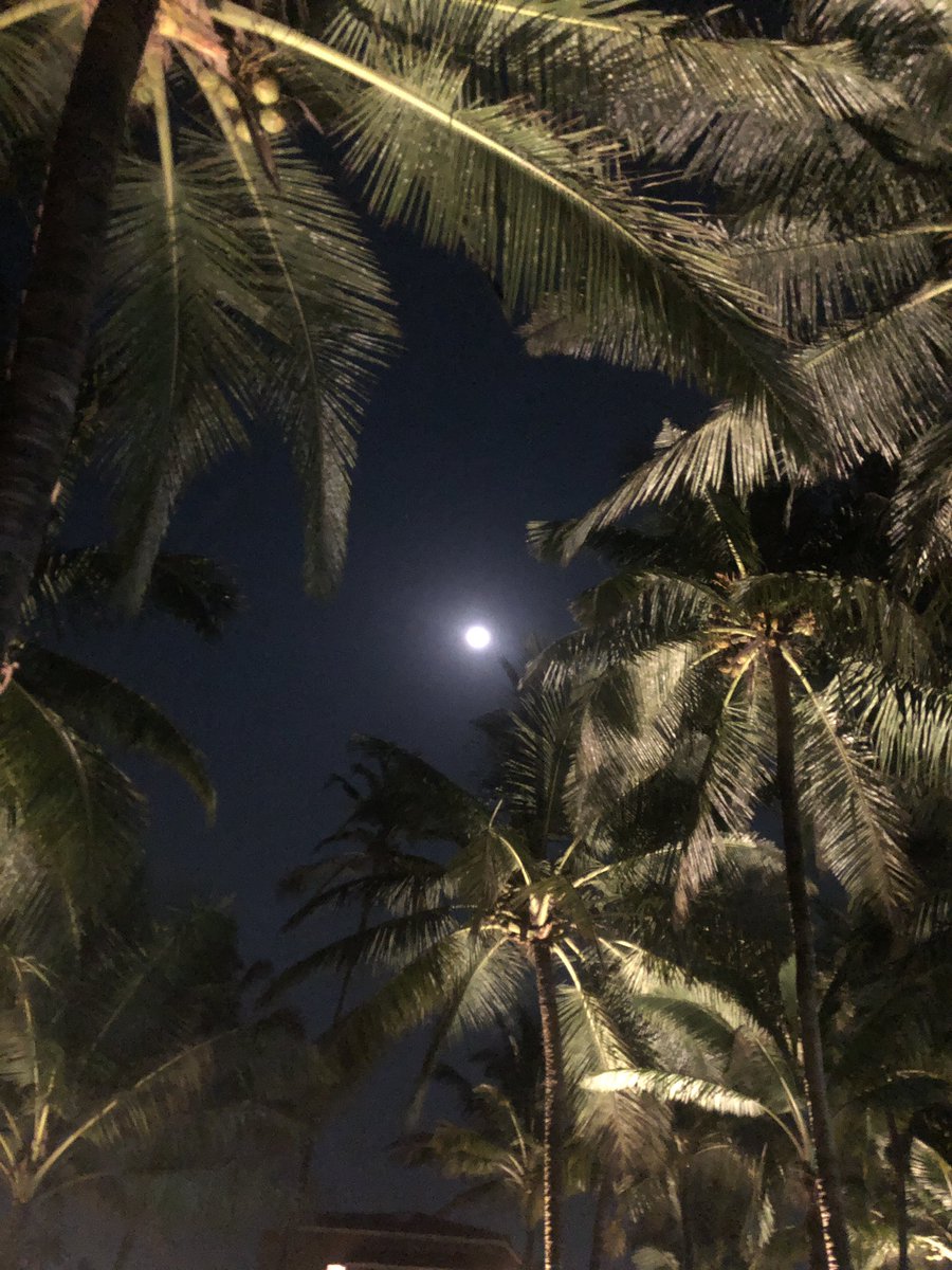 Tamzi2508's tweet photo. Made us wait for long. But it was worth it. Beautiful moon. #moonspotting #moon https://t.co/g0MfIwRGkz