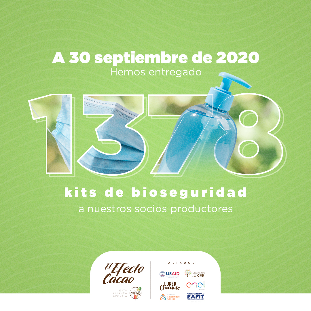 ElEfectoCacao's tweet photo. ¡Esta alianza no baja la guardia! Cuidamos a nuestros socios productores y a sus familias mediante la entrega de kits de bioseguridad que cuentan con elementos de protección y de limpieza. @USAID_Colombia @FundacionLuker @Luker_Chocolate @EmgesaEnergia @SaldarriagaConc @EAFIT https://t.co/ZijGHPUJ6Q