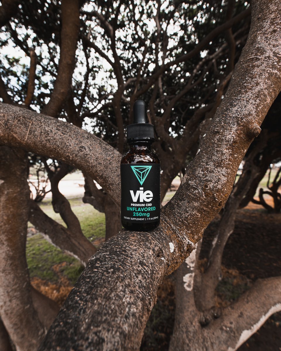 VieCBD's tweet photo. Achieving balance is just a few drops away.

https://t.co/YesnpVnOSL

#viecbd #vie #cbd #cbdhealth #cbdwellness #wellness #balancedlife #healthyliving #cbdproducts #cbdoil https://t.co/OsspSmvFko