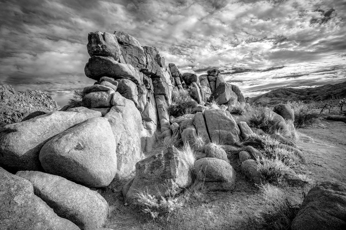PhotoBert's tweet photo. @JoshuaTreeNPS I love the desert and the feeling that the desert imparts. Joshua Tree is one of the NP gems - too bad its getting overcrowded. https://t.co/VqDWEBvASn