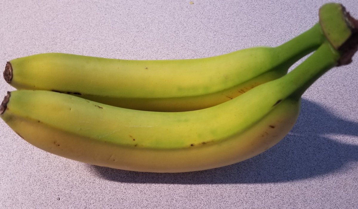 So how are we gonna test this?Get two petri dishes, get some bacteria in them, then expose one and not the other, then wait to see how much the bacteria grows?Nah, that sounds hard. I don't have a lab here. But what I do have... is bananas.