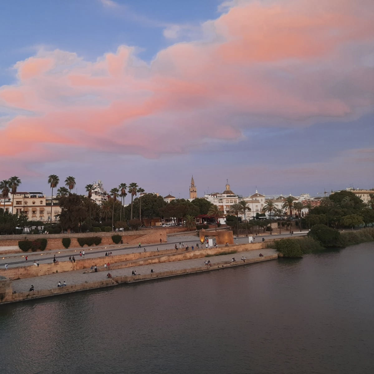 Estas impresionantes vistas🌇 solo pueden admirarse desde un lugar… ¡la preciosa ciudad de📍Sevilla!

Pronto podrás volver a disfrutar de todas las maravillas✨ que te ofrece la capital🙌para que saborees la distinción 👌y la elegancia 😌 que hacen de Sevilla un rincón especial.