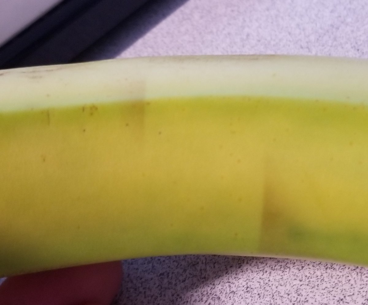 Because later in the day (like 6-10 hours), the banana looks like this.See how there's two brown patches on the banana, but they have a very sharp edge? that's where the electrical tape was.