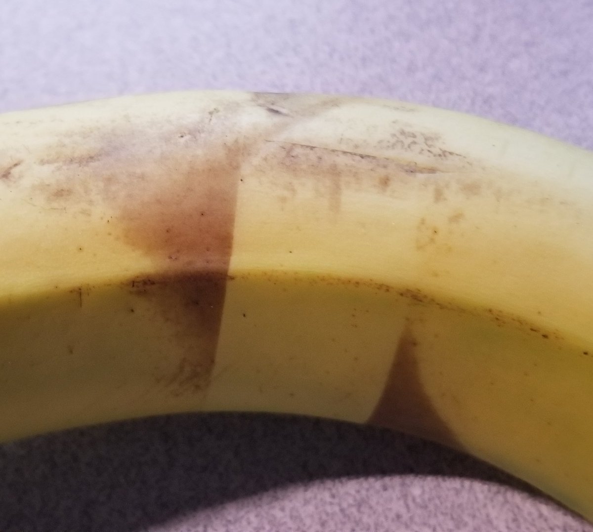 and about 24 hours later, it looks like this.The brown spot has gotten a lot bigger, but it still has that very clear sharp edge where the electrical tape had covered up the banana skin.