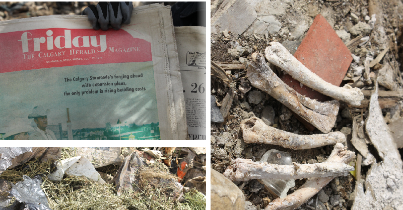 These chicken bones, grass, &amp; newspaper were landfilled back in the 1970s and dug back up 40+ years later. Doesn't look like these items have changed at all! 😮

That's why the green cart program is so important as we can turn these items into nutrient-rich compost instead. 👍
