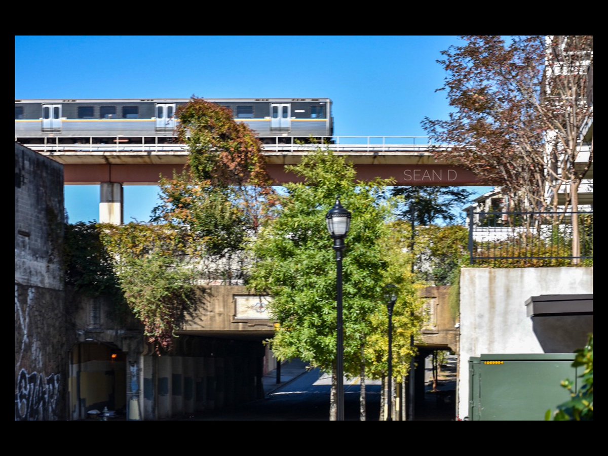 seand6711's tweet photo. ATL Snapshot ☀️🌳🚇@downtownatlanta @marta_explorers @seand6711 @discoveratlanta 📸 #atlanta #masstransit #photography #martatrain #atlstreetphoto #nikond3400 #november #timeless_streets #landscape #bluesky #autumn #marta #photography #cityscape #streetphotography https://t.co/4nADLM2BW7