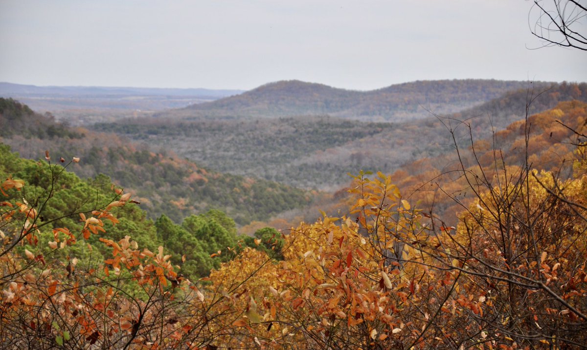 cruzzeroutdoors's tweet photo. I took a short country drive over to southwest Missouri , Roaring River State Park, #discovernature #takeacountrydrive https://t.co/VbkuxRaOZG