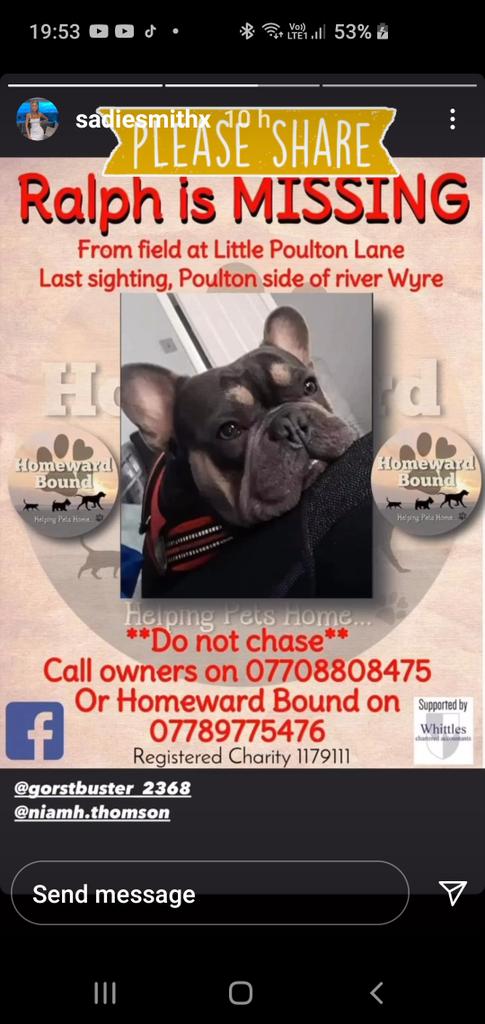 CrewMgr_Lytham's tweet photo. Any local followers please retweet. £2000 reward for return if he has been taken. https://t.co/HBLKQu4xmA