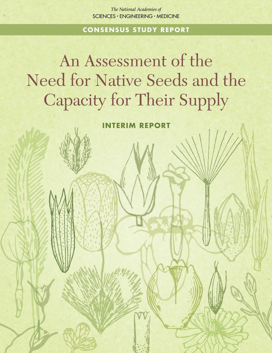 NASEM_Ag's tweet photo. Join @theNASEM for a webinar on the new interim report: An Assessment of the Need for Native Seeds and the Capacity for Their Supply on Friday, November 13 at 12:30pm ET. #SeedNeeds #NativeSeed https://t.co/M9WBuaki4y https://t.co/qF42Oui4hg