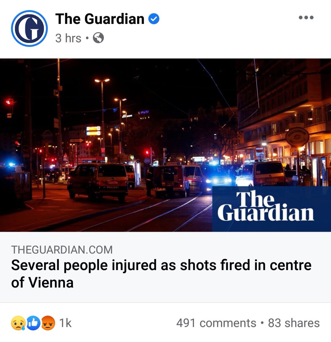 Maria Belém tweet media