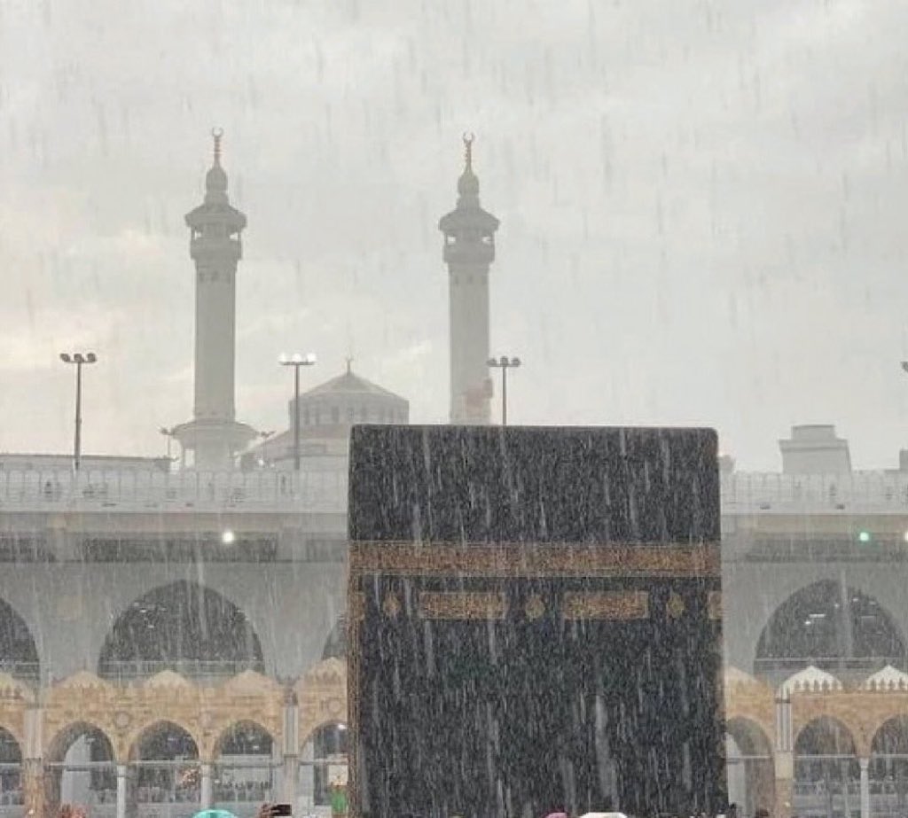 أدبيات tweet media